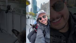 A day in my life living in Toronto Vlog | #minivlog #adayinmylife #torontolife #livingabroad