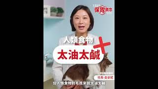 【醫起聊聊】春節毛孩突發狀況有哪些？TOP 1｜法國皇家