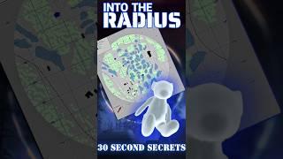 Into The Radius -  Bolotky Village Strange Teddy (Secret Item)