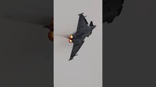 NOBLE with great maneuvers  during his Displaytraining Bavarian Tigers TLG74