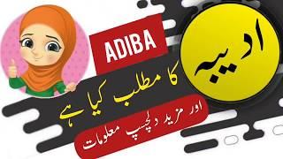 Adiba name meaning in urdu and lucky number | Islamic Girl Name | Ali Bhai