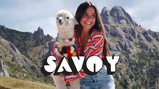 Savoy - Acolo In Varf De Munte (Mentol Remix)