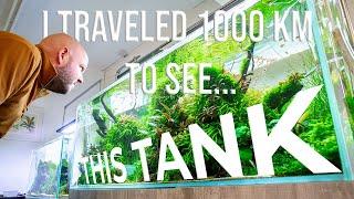 I TRAVELED 1000 KM TO SEE THIS TANK!