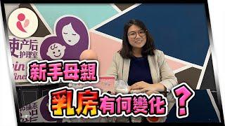 雙C孕產咨詢室#5 | 嬰兒餵養須知！新手媽媽須知乳房有何變化？