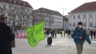 "Scientists4Future"-Regionalgruppe Kärnten bei Klimastreik am 19. März 2021