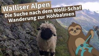 Wanderung auf die Höhbalmen | Walliser Alpen