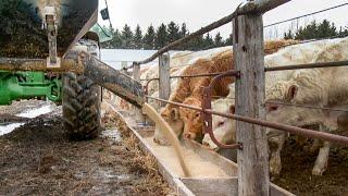 Front End Auger Feed Bucket