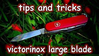 Tips and Tricks for Using a Large Blade in a Swiss Army Knife