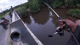 mancing dari atas jembatan