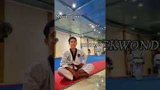 Taekwondo