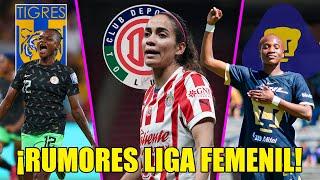  Uchenna Kanu REGRESA a Tigres Femenil | Caro Jaramillo a Toluca | Deneisha Blackwood baja de Pumas