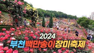 2024 부천 백만송이 장미 축제 Bucheon Million Roses Festival