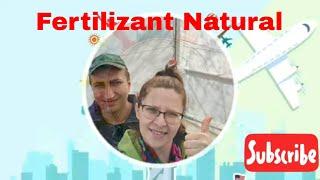 Reteta fertilizant natural pentru plante . #gradinarit #gradina