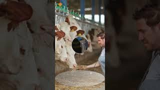 OURIA SHORTS 014_FOOD: BUILDING SUSTAINABLE COMMUNITY INCLUSION IN NIGERIA'S DAIRY VALUE CHAIN