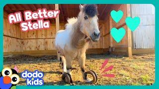 Whoa! This Pony's Hooves Are WAY Too Long! | Dodo Kids | All Better