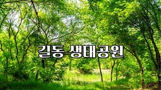 서울 가볼만한곳 산책하기 좋은 길동 생태공원