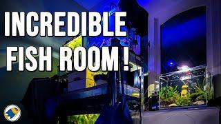 Fish Room Tour 2021 | Fish Room Update 2021 - MR BRIGHTFRYED