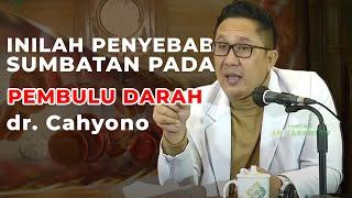 APA SEBENARNYA PENYEBAB SUMBATAN PADA PEMBULU DARAH ?? - dr. R. Cahyono Sp Naturopathy