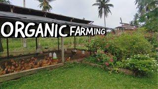 How to Start an Organic Farming Business | Things to Consider Before Starting a Farm 