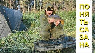#Ritterfishing #Карпфишинг #Сазан ПОНЯТЬ САЗАНА. Трое суток на реке. Щука монстр.