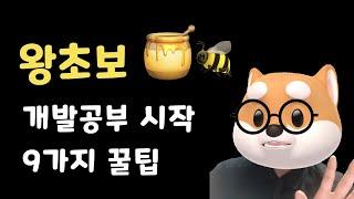 왕초보 개발공부 시작할 때 [꿀팁 9가지]