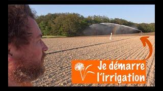 Je démarre l'irrigation pour sauver les tournesols 