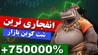 وقت سود کردنه  با این میم کوین تا چند برابر میتونی سود کنی 