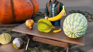 Fruit Size Comparison: Normal Apple Vs World Record Pumpkin
