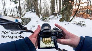 POV 50mm Photography in a Snowy Forest | Nikon Z7 II, Nikkor 50MC F2.8