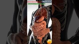 Animation of Digestive System | Stomach AI Art | 43