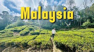 Malaysia  Travel Guide 2024! Route I Highlights I Kosten