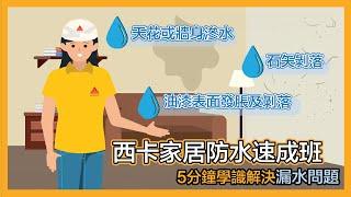 5分鐘西卡防水物料速成班，幫您解決漏水問題! I 家居漏水黑點遂個捉 I 廚廁防水 I 天台防水 I 外牆防水 I 窗邊防水 I 室內牆身防水 I