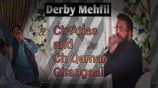 Ch Atlas and Ch Qamar Ghangaal Derby Mehfil (2)