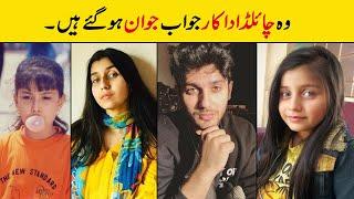 Pakistani Child Stars Who Became Famous Celebrities Now |Child Stars Then and Now