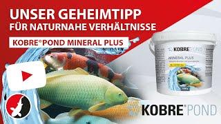 Kobre®Pond Mineral Plus