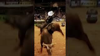 JB’s ride on BUSHWACKER #PBR #JBMAUNEY #BUSHWACKER