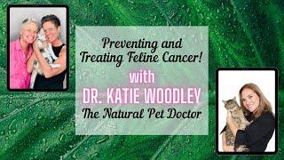 Feline Cancer with The Natural Pet Doctor | Two Crazy Cat Ladies