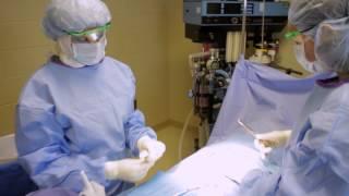 Your Class in 60 Seconds: Surgical Technology