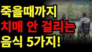 치매 약 대신 '이것'으로 치매예방 하세요! 치매에 좋은 음식 5가지 제발 챙겨 드세요!