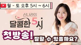 [LIVE] 신나라의 달콤한 5시! 첫방송 | 241028 방송 #퇴근길 #라디오 #신나라의달콤한5시