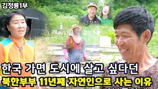 [김정룡 1부] 한국가면 꼭 도시에 살고싶다던 북한부부 11년째 자연인으로 사는 충격적인이유.... 대단하시네요