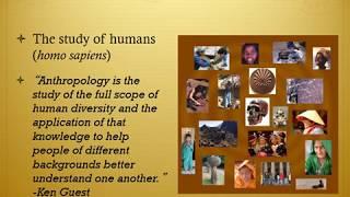 Introduction to Cultural Anthropology