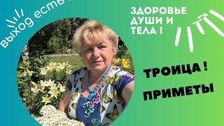 ТРОИЦА ! Приметы , советы !