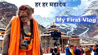 My First Vlog | Har Har Mahadev | VEO 3 Video | Monkey Vlog Video | Viral Monkey Video