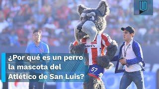 Conoce por qué la mascota del Atlético San Luis es un perro