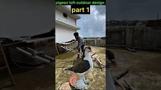 pigeon loft outdoor design part 1  | #pigeontips #pigeon #kabootar #shortsfeed #shorts