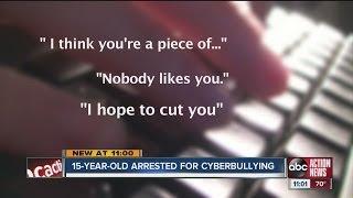 Teen arrested for sending hundreds of cyber threats