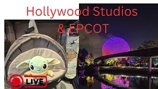 Let's check out Hollywood Studios and end at EPCOT!!