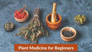 Plant Medicine for Beginners | Linda Black Elk