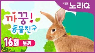 까꿍! 동물친구ㅣ자연관찰ㅣ토끼ㅣBabies&KidsㅣPikaboo! Animal friendsㅣRabbitㅣDaekyo noriQ l 대교 노리Q